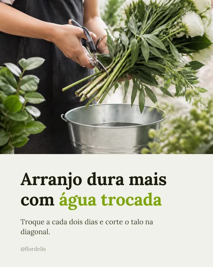 Post de floricultura: “Arranjo dura mais com água trocada”, com a florista cortando os talos na diagonal.