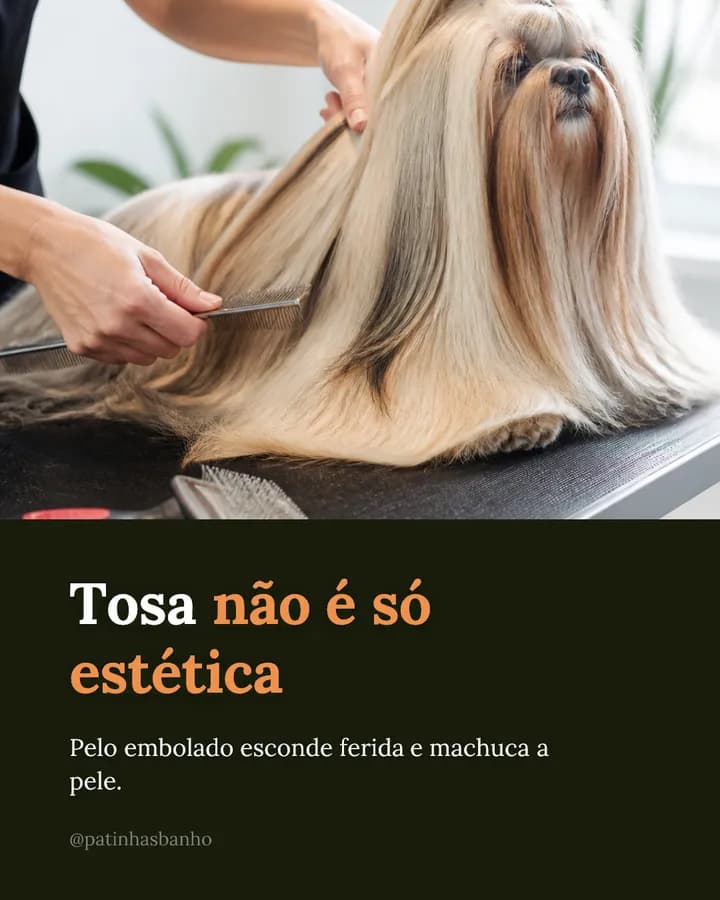 Post de pet shop: “Tosa não é só estética”, com o tosador penteando o pelo longo do cachorro na mesa.